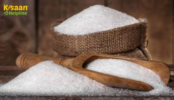 चीनी का उत्पादन अक्टूबर-दिसंबर में 42% बढ़कर 110.22 लाख टन: ISMA